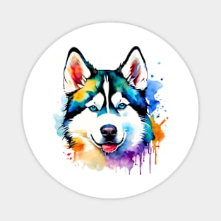 Siberian Husky Watercolor Magnet